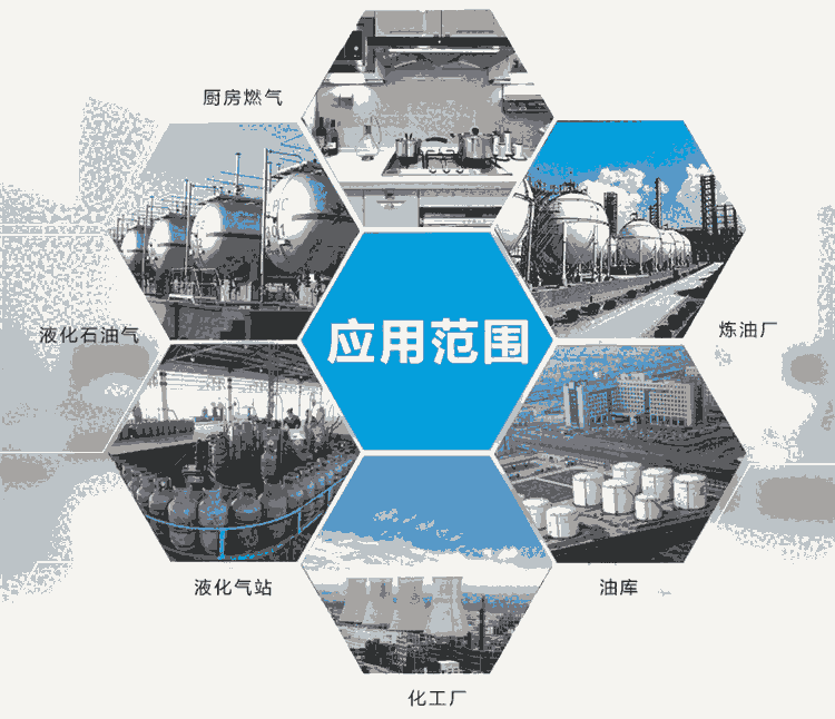 無(wú)線燃?xì)庵卸祟A(yù)警器 防水