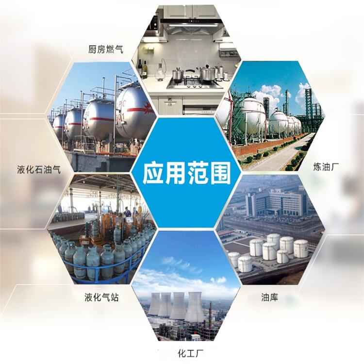 有毒，有害H2S探測器供應(yīng)